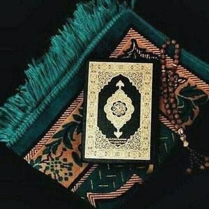 Meet your Posher, Hawa